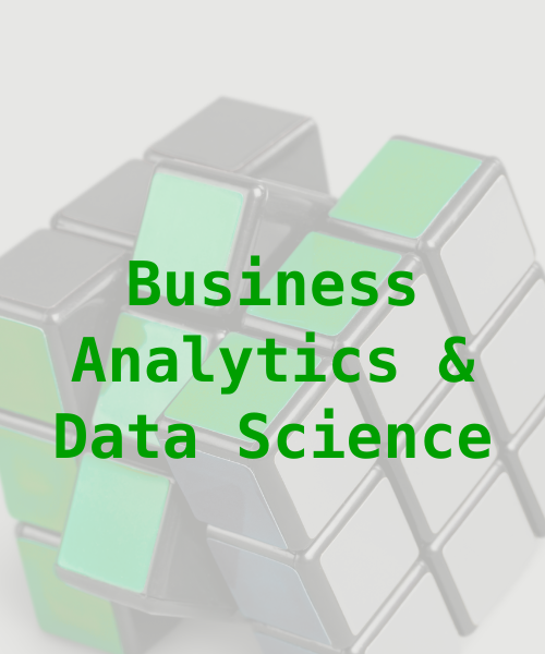 BUSINESS ANALYTICS & BIG DATA BUSINESS ANALYTICS & BIG DATA